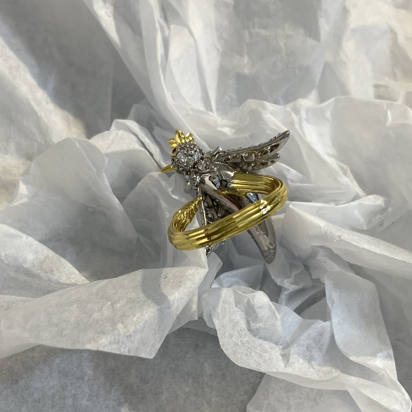 Bird Ring-TJ1275
